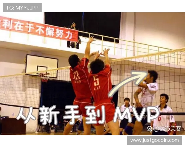 北京排球队的战术控制与团队协作分析探讨排球热点