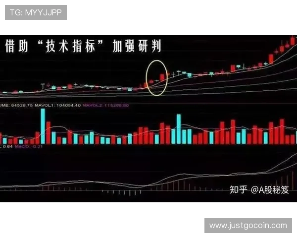 南京篮球队与杭州篮球队赛后技术分析与战术复盘探讨