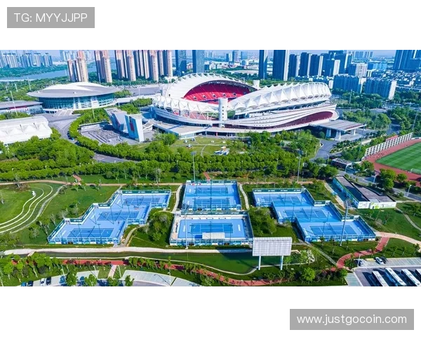 武汉网球队转换打法深度分析与战术创新探讨 武汉网球队转换打法深度分析与战术创新探讨